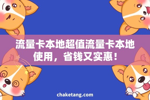 流量卡本地超值流量卡本地使用，省钱又实惠！