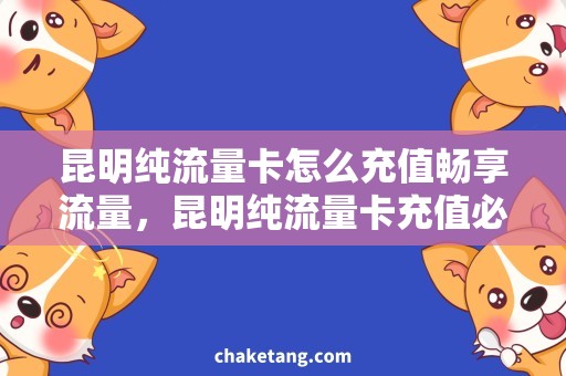 昆明纯流量卡怎么充值畅享流量，昆明纯流量卡充值必备攻略