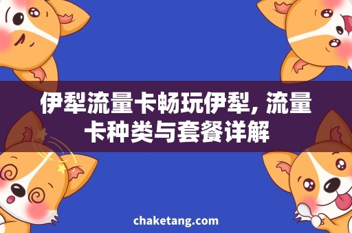 伊犁流量卡畅玩伊犁, 流量卡种类与套餐详解