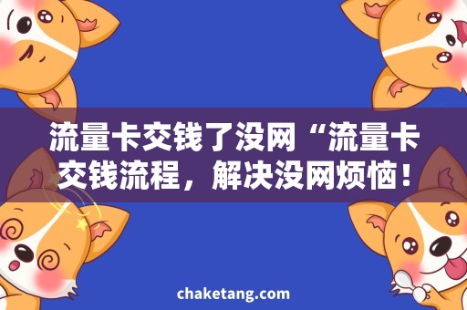 流量卡交钱了没网“流量卡交钱流程，解决没网烦恼！”