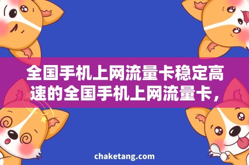 全国手机上网流量卡稳定高速的全国手机上网流量卡，解决你的上网需求