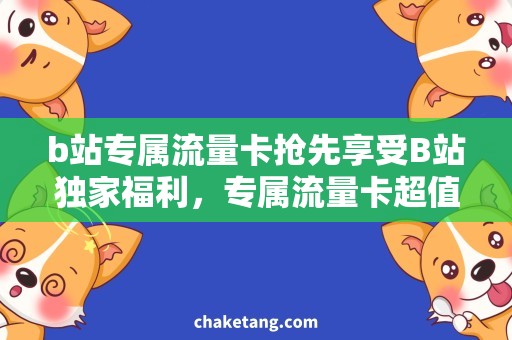 b站专属流量卡抢先享受B站独家福利，专属流量卡超值优惠火热开售！