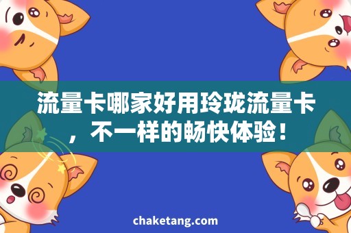 流量卡哪家好用玲珑流量卡，不一样的畅快体验！