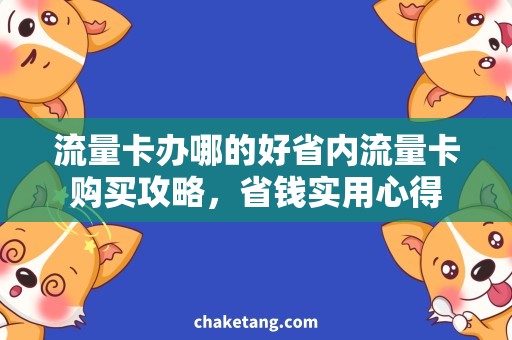 流量卡办哪的好省内流量卡购买攻略，省钱实用心得