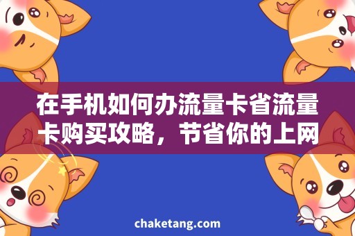 在手机如何办流量卡省流量卡购买攻略，节省你的上网费用！