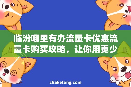 临汾哪里有办流量卡优惠流量卡购买攻略，让你用更少的钱，办理临汾流量卡