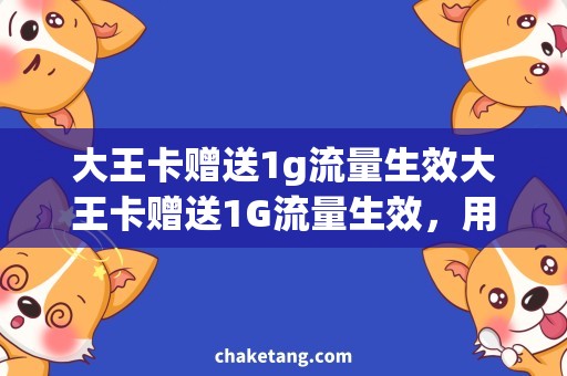 大王卡赠送1g流量生效大王卡赠送1G流量生效，用网速加速看影视大片