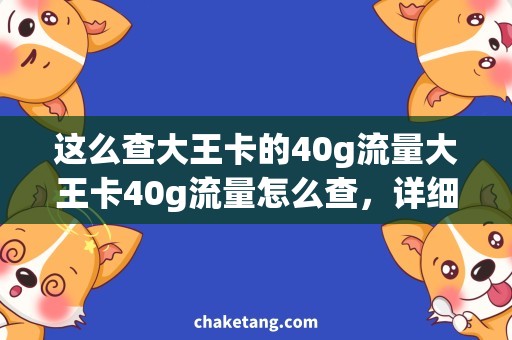 这么查大王卡的40g流量大王卡40g流量怎么查，详细解决方案