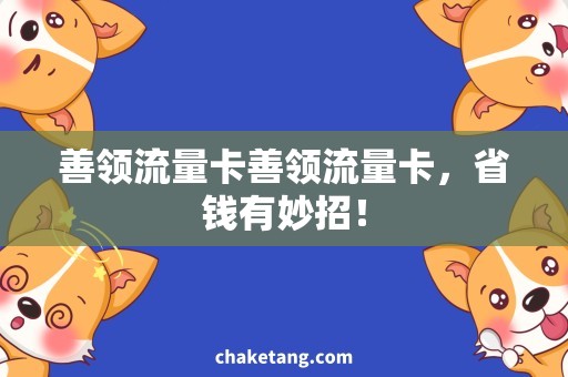 善领流量卡善领流量卡，省钱有妙招！