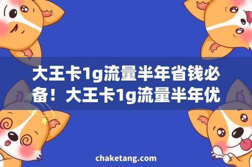 大王卡1g流量半年省钱必备！大王卡1g流量半年优惠大揭秘