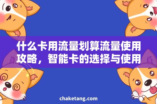 什么卡用流量划算流量使用攻略，智能卡的选择与使用方式