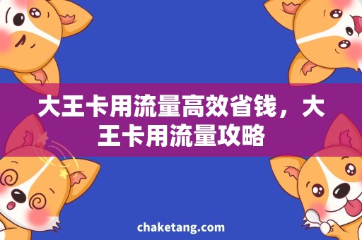 大王卡用流量高效省钱，大王卡用流量攻略