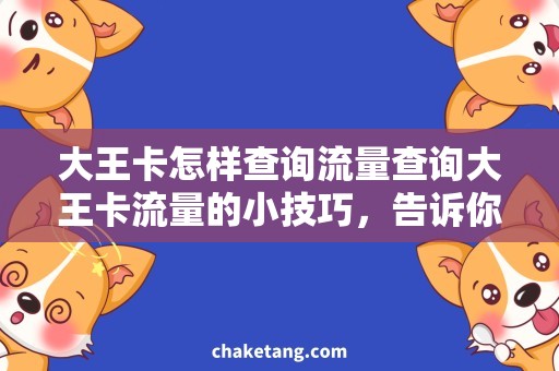 大王卡怎样查询流量查询大王卡流量的小技巧，告诉你如何轻松查询