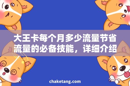 大王卡每个月多少流量节省流量的必备技能，详细介绍大王卡每月流量用法