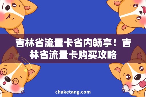 吉林省流量卡省内畅享！吉林省流量卡购买攻略