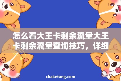 怎么看大王卡剩余流量大王卡剩余流量查询技巧，详细说明如何轻松查询剩余流量