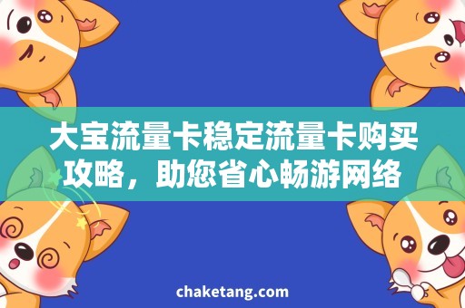 大宝流量卡稳定流量卡购买攻略，助您省心畅游网络