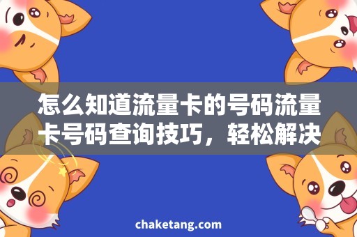 怎么知道流量卡的号码流量卡号码查询技巧，轻松解决不知道号码的问题