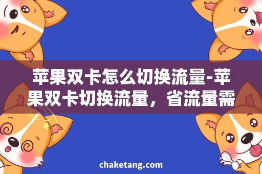 苹果双卡怎么切换流量-苹果双卡切换流量，省流量需求与技巧