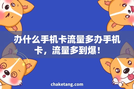 办什么手机卡流量多办手机卡，流量多到爆！