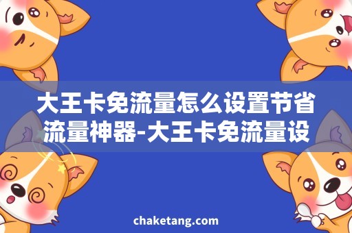 大王卡免流量怎么设置节省流量神器-大王卡免流量设置详解