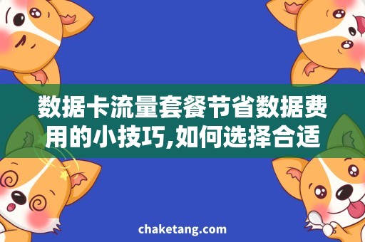 数据卡流量套餐节省数据费用的小技巧,如何选择合适的数据卡流量套餐