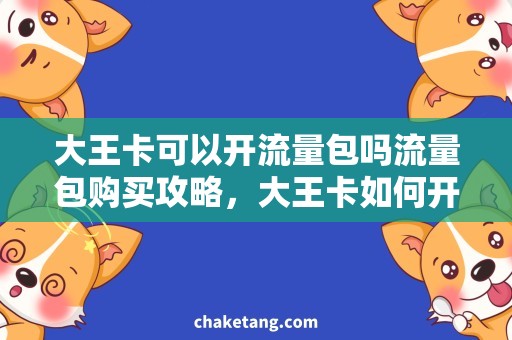 大王卡可以开流量包吗流量包购买攻略，大王卡如何开通流量包及注意事项