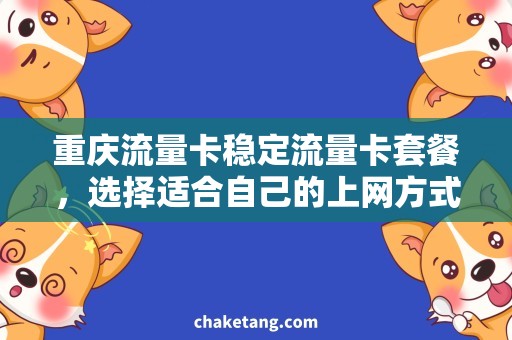 重庆流量卡稳定流量卡套餐，选择适合自己的上网方式！