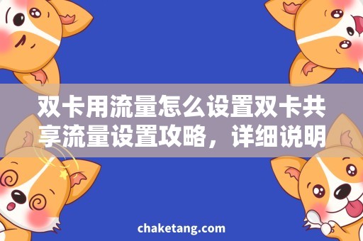 双卡用流量怎么设置双卡共享流量设置攻略，详细说明双卡用流量怎么设置