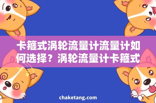 卡箍式涡轮流量计流量计如何选择？涡轮流量计卡箍式好还是法兰式好？
