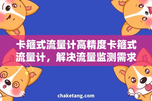 卡箍式流量计高精度卡箍式流量计，解决流量监测需求