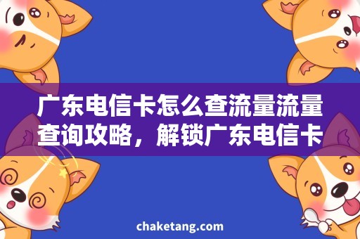 广东电信卡怎么查流量流量查询攻略，解锁广东电信卡数据使用方法