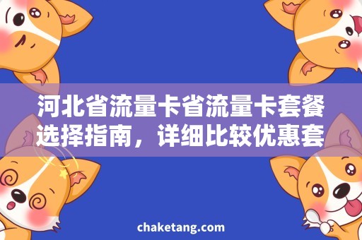 河北省流量卡省流量卡套餐选择指南，详细比较优惠套餐及使用技巧