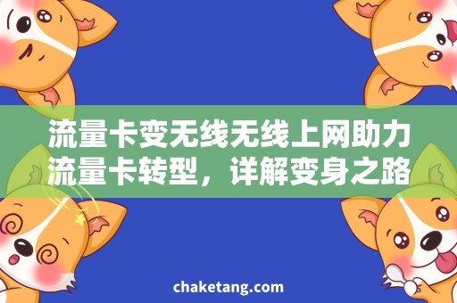 流量卡变无线无线上网助力流量卡转型，详解变身之路