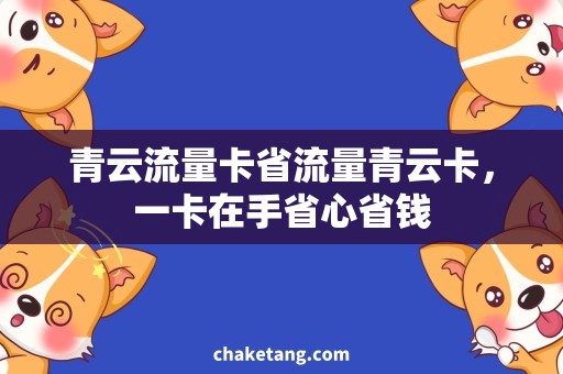 青云流量卡省流量青云卡，一卡在手省心省钱