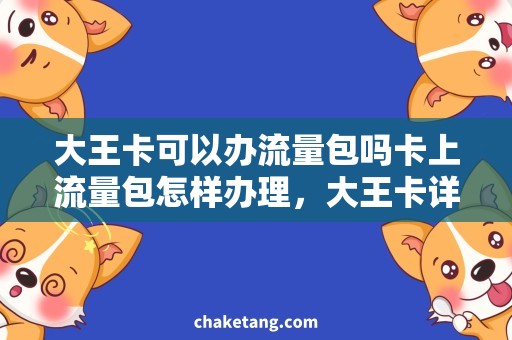 大王卡可以办流量包吗卡上流量包怎样办理，大王卡详细说明流量包办理方法