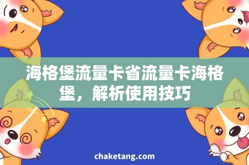 海格堡流量卡省流量卡海格堡，解析使用技巧