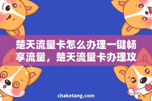 楚天流量卡怎么办理一键畅享流量，楚天流量卡办理攻略详解