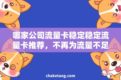 哪家公司流量卡稳定稳定流量卡推荐，不再为流量不足烦恼
