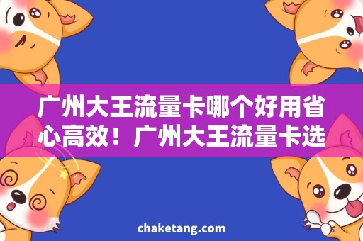 广州大王流量卡哪个好用省心高效！广州大王流量卡选购指南