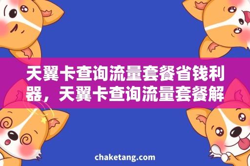 天翼卡查询流量套餐省钱利器，天翼卡查询流量套餐解析