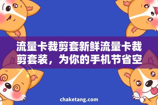 流量卡裁剪套新鲜流量卡裁剪套装，为你的手机节省空间