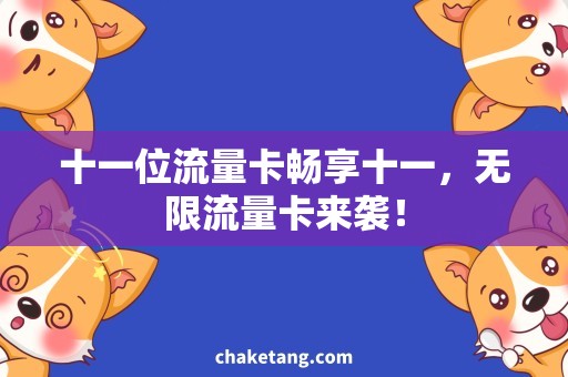 十一位流量卡畅享十一，无限流量卡来袭！