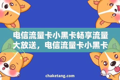 电信流量卡小黑卡畅享流量大放送，电信流量卡小黑卡让你爽到飞起！