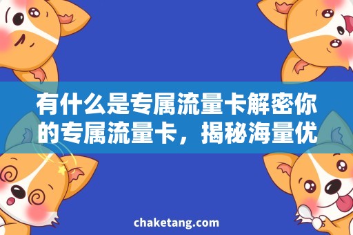 有什么是专属流量卡解密你的专属流量卡，揭秘海量优惠活动！