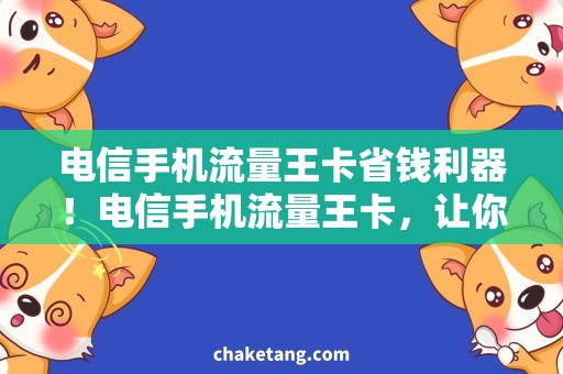 电信手机流量王卡省钱利器！电信手机流量王卡，让你随意冲浪