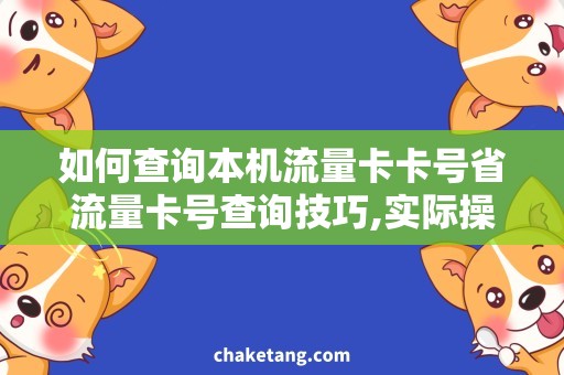 如何查询本机流量卡卡号省流量卡号查询技巧,实际操作步骤