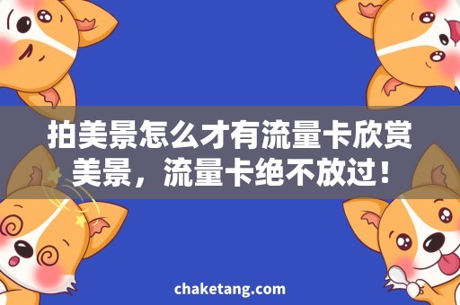 拍美景怎么才有流量卡欣赏美景，流量卡绝不放过！