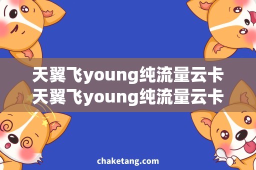 天翼飞young纯流量云卡天翼飞young纯流量云卡，连通全球的宽带通信利器