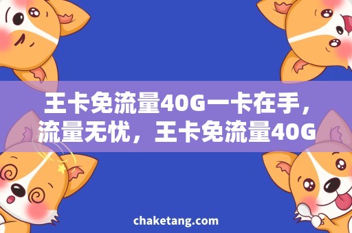 王卡免流量40G一卡在手，流量无忧，王卡免流量40G解析